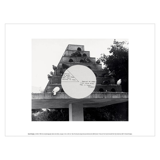 David Shrigley Untitled (pigeons) art print